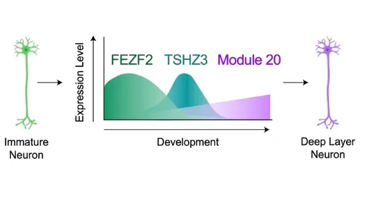MetaAtlas_Nano_fig6g