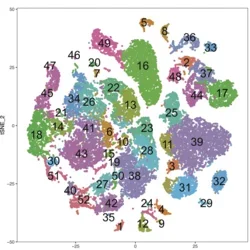 A single cell RNA-seq t-SNE plot showing heterogeneous cell types in glioblastoma.